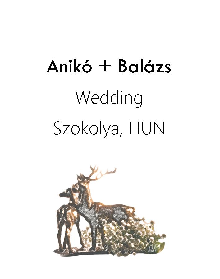 Anikó + Balázs wedding 2017